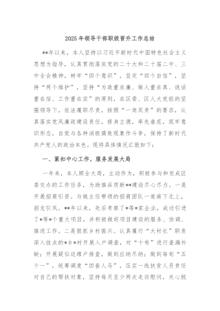 2025年领导干部职级晋升工作总结