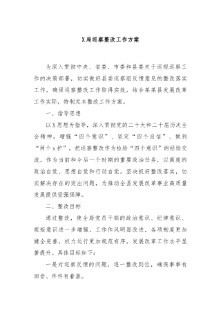 X局巡察整改工作方案
