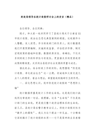财政局领导在统计造假研讨会上的发言（精品）