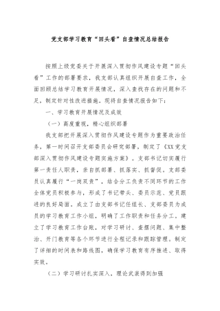 党支部学习教育“回头看”自查情况总结报告