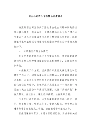 国企公司四个专项整治自查报告