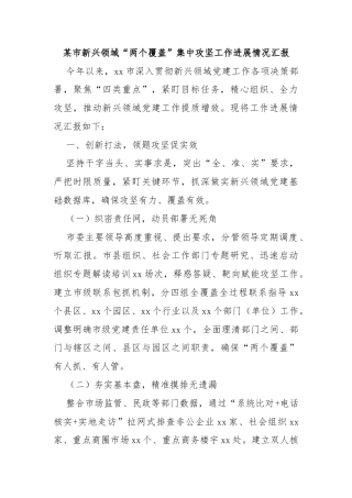 某市新兴领域“两个覆盖”集中攻坚工作进展情况汇报