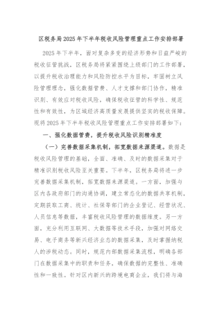 区税务局2025年下半年税收风险管理重点工作安排部署