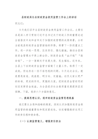 县财政局长在财政资金使用监管工作会上的讲话