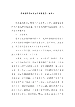 县常务副县长政治自画像报告（精品）