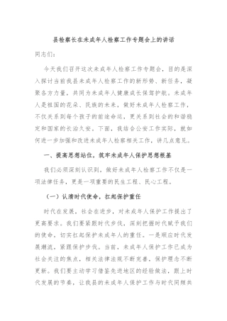 县检察长在未成年人检察工作专题会上的讲话