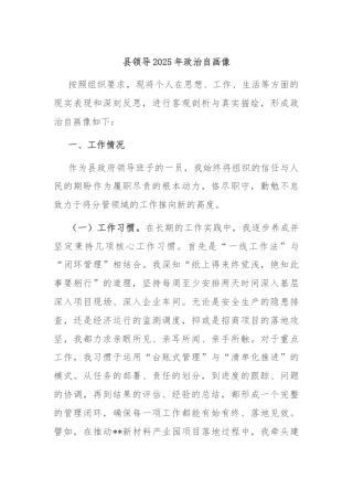 县领导2025年政治自画像