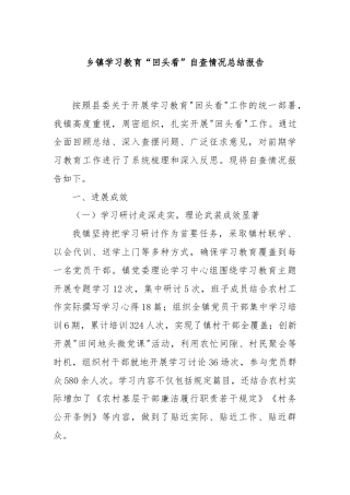 乡镇学习教育“回头看”自查情况总结报告