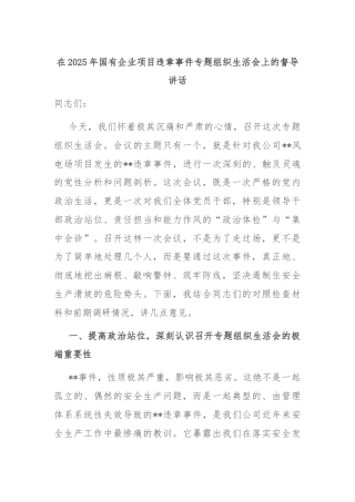 在2025年国有企业项目违章事件专题组织生活会上的督导讲话