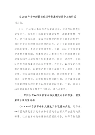 在2025年全市新提拔处级干部廉政谈话会上的讲话