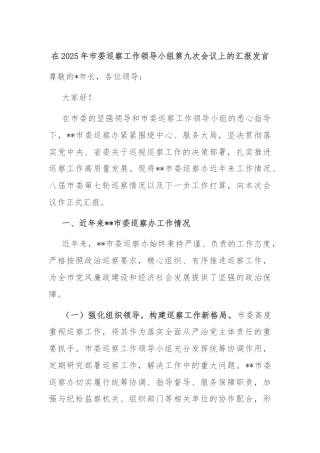 在2025年市委巡察工作领导小组第九次会议上的汇报发言