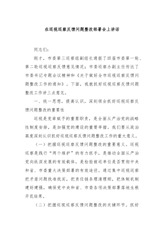 在巡视巡察反馈问题整改部署会上讲话