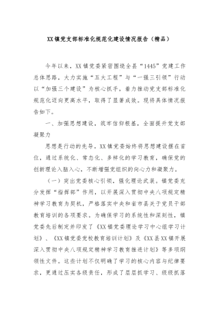 XX镇党支部标准化规范化建设情况报告（精品）