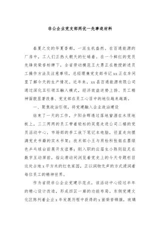 非公企业党支部两优一先事迹材料