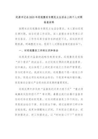 纪委书记在2025年巡视整改专题民主生活会上的个人对照检查材料