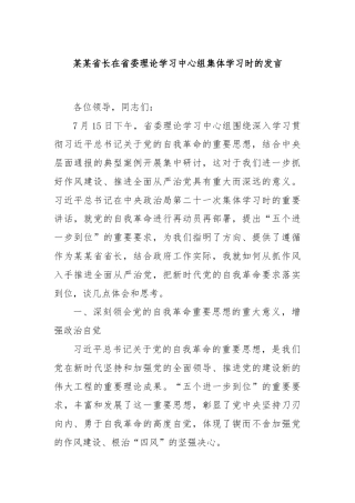 某某省长在省委理论学习中心组集体学习时的发言