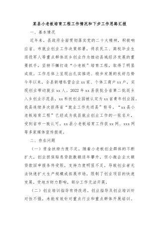 某县小老板培育工程工作情况和下步工作思路汇报