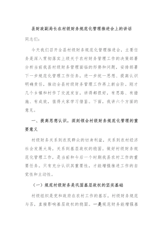 县财政副局长在村级财务规范化管理推进会上的讲话