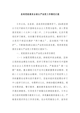 县局党组落实全面从严治党工作情况汇报