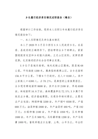 乡长履行经济责任情况述职报告（精品）