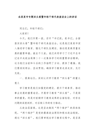 在某某市专题回头看暨年轻干部代表座谈会上的讲话