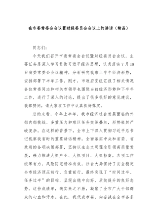 在市委常委会会议暨财经委员会会议上的讲话（精品）
