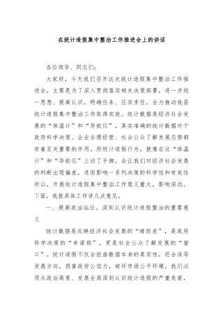 在统计造假集中整治工作推进会上的讲话