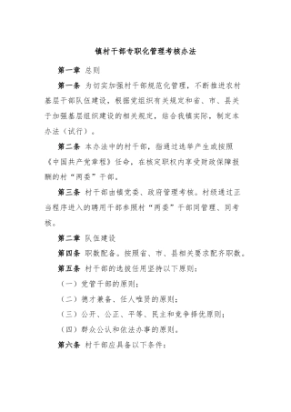镇村干部专职化管理考核办法