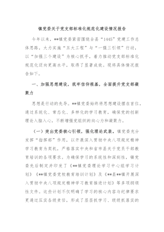 镇党委关于党支部标准化规范化建设情况报告