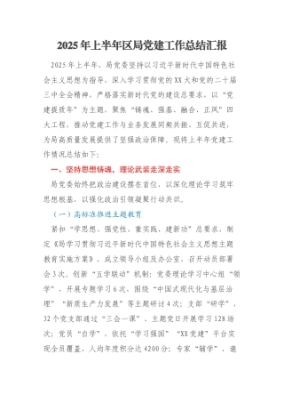 2025年上半年区局党建工作总结汇报