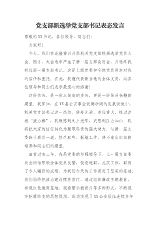 党支部新选举党支部书记表态发言