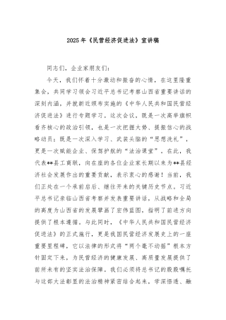 2025年《民营经济促进法》宣讲稿