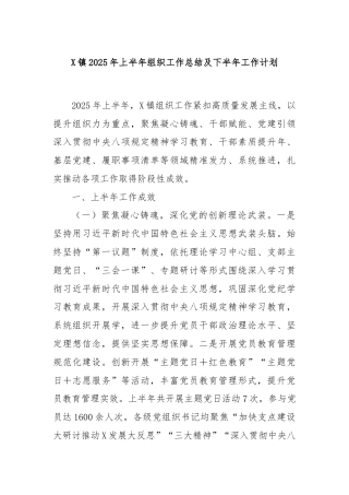 X镇2025年上半年组织工作总结及下半年工作计划