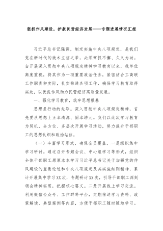狠抓作风建设，护航民营经济发展——专题进展情况汇报