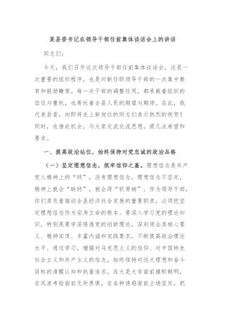 某县委书记在领导干部任前集体谈话会上的讲话