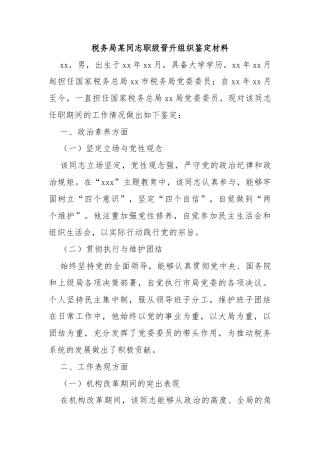 税务局某同志职级晋升组织鉴定材料