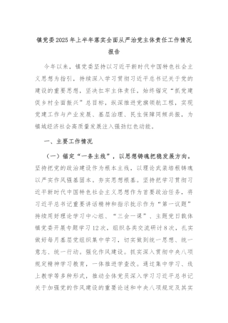 镇党委2025年上半年落实全面从严治党主体责任工作情况报告