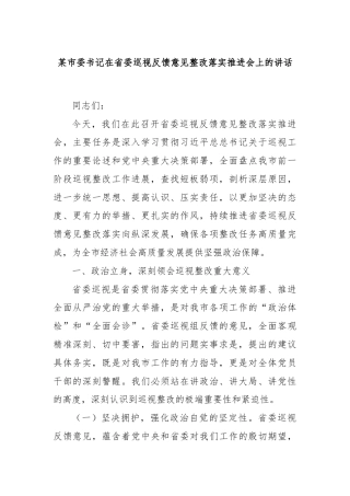 某市委书记在省委巡视反馈意见整改落实推进会上的讲话