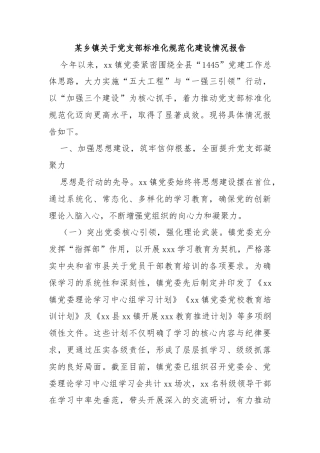 某乡镇关于党支部标准化规范化建设情况报告
