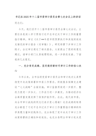 书记在2025年十二届市委审计委员会第七次会议上的讲话
