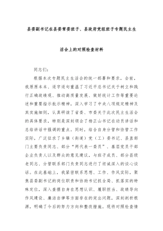 县委副书记在县委常委班子、县政府党组班子专题民主生活会上的对照检查材料