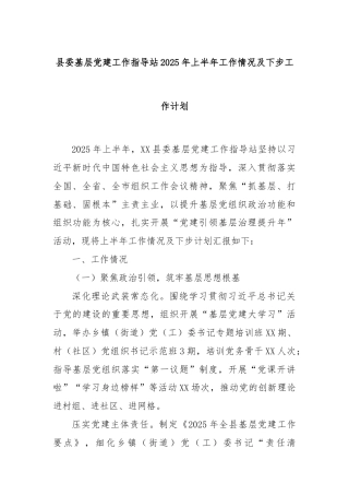 县委基层党建工作指导站2025年上半年工作情况及下步工作计划