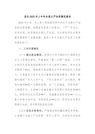 县长2025年上半年全面从严治党情况报告