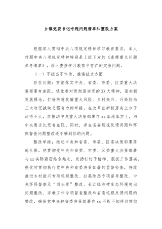 乡镇党委书记专题问题清单和整改方案