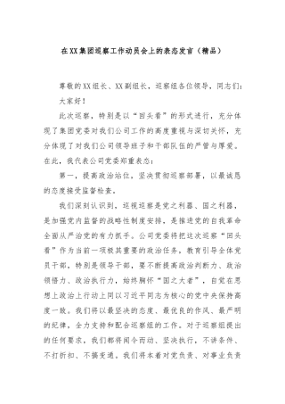 在XX集团巡察工作动员会上的表态发言（精品）