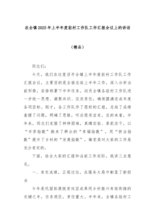 在全镇2025年上半年度驻村工作队工作汇报会议上的讲话（精品）