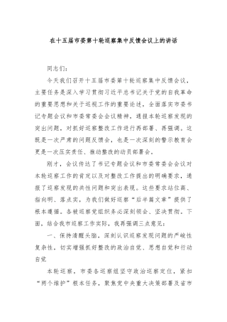 在十五届市委第十轮巡察集中反馈会议上的讲话