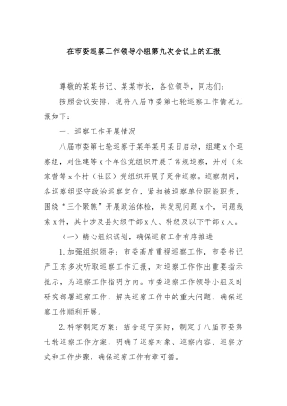 在市委巡察工作领导小组第九次会议上的汇报