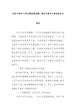 2025年青年干部专题党课讲稿：新时代青年干部的担当与使命