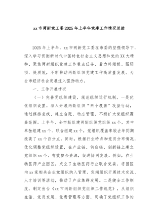 xx市两新党工委2025年上半年党建工作情况总结